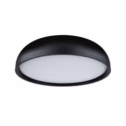 Paulmann Oka ceiling lighting LED F