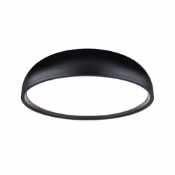 Paulmann Oka ceiling lighting LED F