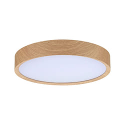 Paulmann Tega ceiling lighting LED 22.5 W F