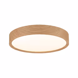 Paulmann Tega ceiling lighting LED 22.5 W F