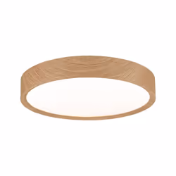 Paulmann Tega ceiling lighting LED 22.5 W F
