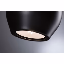 Paulmann Shima ceiling lighting GU10