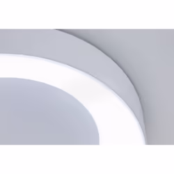 Paulmann HomeSpa Casca ceiling lighting Non-changeable bulb(s) 23 W