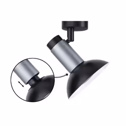 Paulmann Runa ceiling lighting GU10 20 W