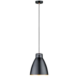 Paulmann 79609 ceiling lighting E27
