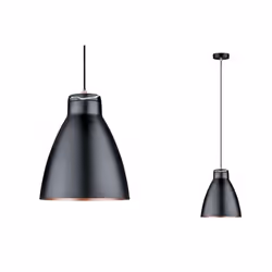 Paulmann 79609 ceiling lighting E27