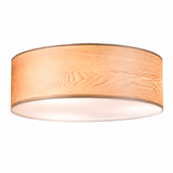 Paulmann 79650 ceiling lighting E27