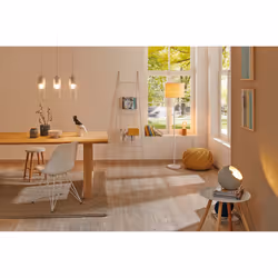 Paulmann 79663 table lamp E27 Grey