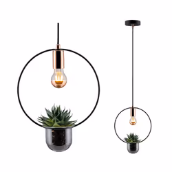 Paulmann 797.48 ceiling lighting E27