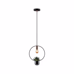 Paulmann 797.48 ceiling lighting E27