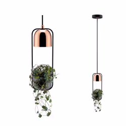 Paulmann 797.49 ceiling lighting GU10