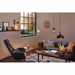 Paulmann 797.51 suspension lighting Flexible mount E27