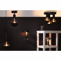 Paulmann Skogen ceiling lighting E27 LED 90 W