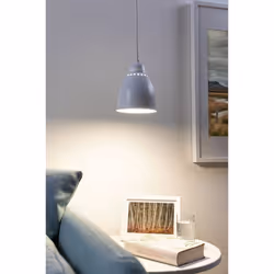 Paulmann Hilla suspension lighting Flexible mount E27 40 W