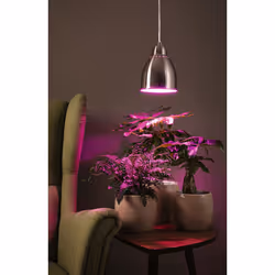 Paulmann Hilla suspension lighting Flexible mount E27 LED 40 W - Additional view 3
