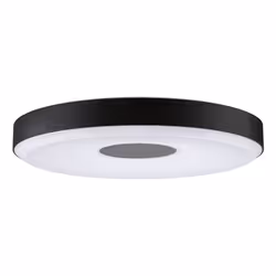 Paulmann Puric Pane, LED, 2700 K, 2200 lm, Black, Grey