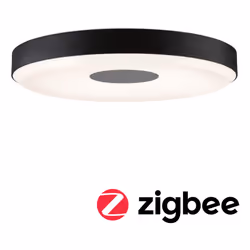 Paulmann Puric Pane ceiling lighting LED F