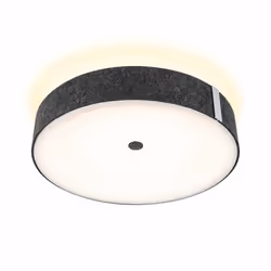 Paulmann 79986, 1 bulb(s), LED, 2700 K, 2300 lm, IP20, Anthracite
