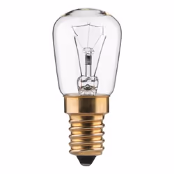 Paulmann 80095 LED bulb Warm white 2500 K 40 W E14 G