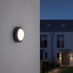 Paulmann 941.19 Outdoor wall lighting LED