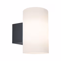 Paulmann 941.86, Outdoor wall lighting, Anthracite, Plastic, IP54, Facade, Wall mounting
