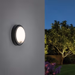 Paulmann 941.87 Outdoor wall lighting LED