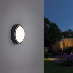 Paulmann 941.88 Outdoor wall lighting LED 15 W
