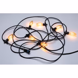 Paulmann Plug & Shine Light decoration chain 7 bulb(s) LED 2 W