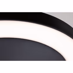 Paulmann 94526 outdoor lighting Outdoor ceiling lighting Non-changeable bulb(s) LED 14 W E - Additional view 5