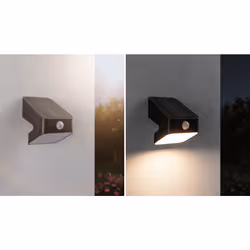Paulmann Solar LED Wallwasher Lesly Twilight-controlled motion detector (IR)
