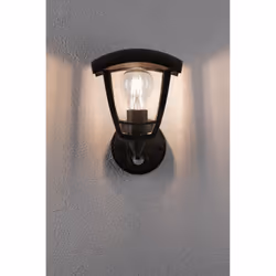 Paulmann 94647 outdoor lighting Outdoor wall lighting E27