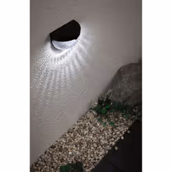 Paulmann Mimmo Outdoor wall lighting LED 1.2 W