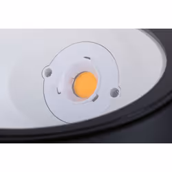 Paulmann Ocos Outdoor ground lighting Non-changeable bulb(s) LED G