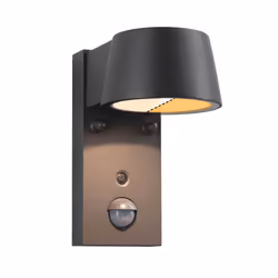 Paulmann Capera Motion detector insect friendly, Outdoor wall lighting, Anthracite, Aluminium, IP44, Facade, I