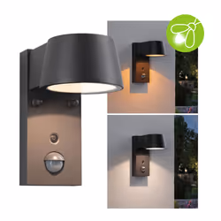 Paulmann Capera Motion detector insect friendly