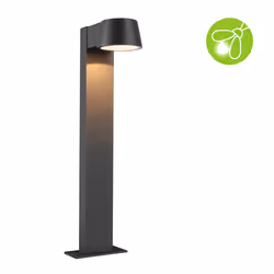 Paulmann Capea Outdoor floor lighting LED F
