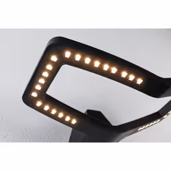 Paulmann LED Exterior wall lamp luminaire Alara Twilight-controlled motion detector (IR)