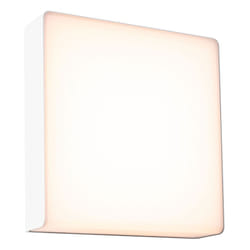 Paulmann Azalena Outdoor wall lighting LED 10 W F