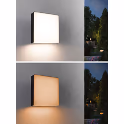 Paulmann Azalena Outdoor wall lighting LED 10 W F