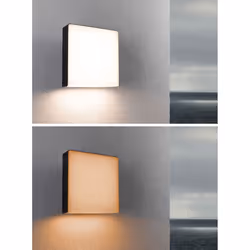 Paulmann Azalena Outdoor wall lighting LED 10 W F