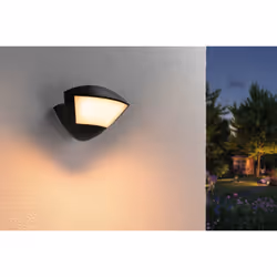 Paulmann 94864 Outdoor wall lighting LED 10 W F