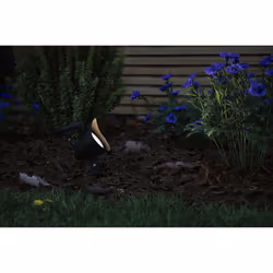 Paulmann Solar LED Spot Solena