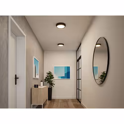 Paulmann Malik Surfaced lighting spot LED F