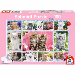 Schmidt Spiele 56135, 100 pc(s), Fauna, 6 yr(s)