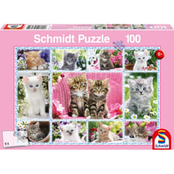 Schmidt Spiele 56135 puzzle Jigsaw puzzle 100 pc(s) Fauna