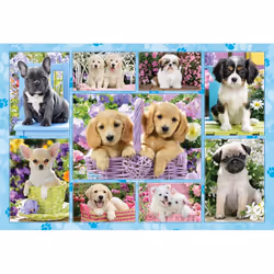 Schmidt Spiele 56162 puzzle Jigsaw puzzle 200 pc(s) Fauna