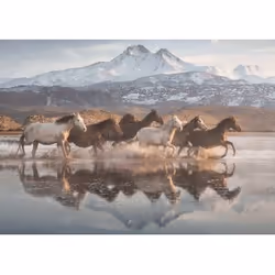 Schmidt Spiele 4058376 Jigsaw puzzle 1000 pc(s) Animals