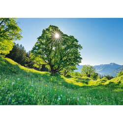Schmidt Spiele 59761 puzzle