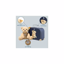 114021 Ben Teddy bear 21 beige in suitcase