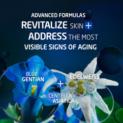 Weleda Face Care Rejuvenating Day Cream  1.3 Fluid Ounces  Plant Rich Moisturizer with Blue Gentian and Edelweiss